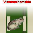 Visornas hemsida